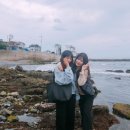 양양이네소스 | 열매달 첫기록 🍃