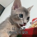 늘을2로27 이미지