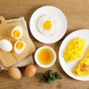 삶은구운 계란 단백질 함량과 효능 이미지