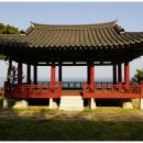 황금대게 네이버블로그