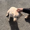 신안힐링 이미지