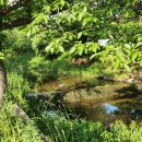 반월천1 이미지