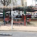 현대OK공인중개사사무소 이미지