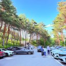 솔향수목원(제3주차장) | 5월 강릉 가볼만한 곳 솔향수목원 주차장 산책로 봄풍경