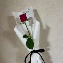 플로리유