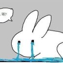 직장인요가 2 이미지