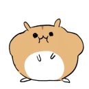 산골오리와집밥 이미지