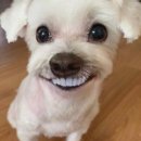 미화빌딩 | 광주 동구 닭발은 미화닭발, 구시청 근처 숨은 맛집