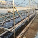 이선농장 이미지