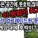 조생 호박 심는시기 *풋호박 키우기 *방임 재배법 이미지