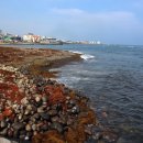 내도동 알작지왓 이미지