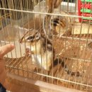 동묘앞역 6번 출구 이미지