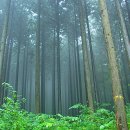 황토편백하우스 이미지