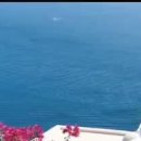 나나 무스쿠리 샹송/ Nana Mouckouri/Pardonne Moi/ 파돈 무아 ㅡ나를용서하세요 나나무스쿠리 샹송함께 들어요 이미지