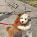 이가네고깃집 이미지