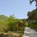 월성농장 이미지