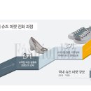 금강시장 이미지