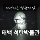 오토오아시스과천점 | 밝게 피어나는 검은 막장의 삶, 태백석탄박물관 이야기
