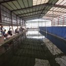 신가리낚시터 이미지