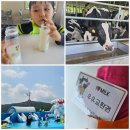 조아목장 | 김천 아이와 가볼만한곳 우유조아 목장체험 후기