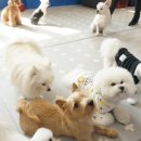 굿독 이미지