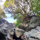 한라앤탐 이미지