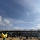 몽키바나나 | 제주도 바나나체험 스위트몽키 방문후기 #바나나따기 #인생샷찍기 #제주도체험