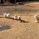 멍더랜드 이미지