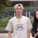 애니