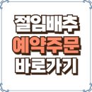 플러스마트진주신안점 | 김장 절임배추 예약 주문 날짜 가격 이마트 홈플러스 롯데마트 농협