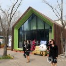 서울광장초등학교 이미지