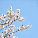 서울숲 주차장 화장실 이미지