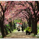 월곡역사공원 이미지