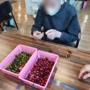 연세통합재가센터
