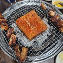 수정곰장어