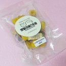 펫밀리레스토랑 이미지