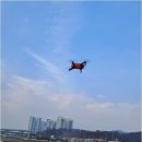 행정사사무소 더드림 이미지