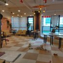 성지애견 이미지