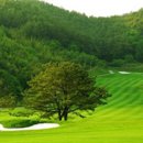 남도골프존 이미지
