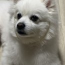 우당탕탕 3월 일상이야기
