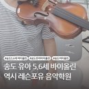 바이올린 첫 걸음 이미지