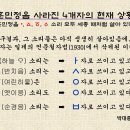 하늘에서 내려온 훈민정음/ 오양심 [시와 그림과 영상이 있는 풍경] 이미지