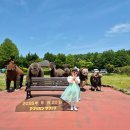 48개월 아이와 후쿠오카 아프리칸 사파리 일일버스 인타임투어 상세 후기