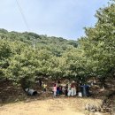 용봉농장 이미지