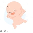 폴인인테리어 이미지