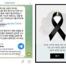 "장관도, 연예인도 당했다"…정부도 텔레그램 해킹에 속수무책 이미지