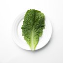 노인실버체조 이미지