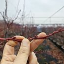 한적농장 이미지