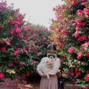 숨도 귤림성 이미지