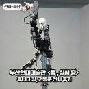 부산현대미술관 다원예술 몸 실험 중 후니다킴 권병준 작가 전시 후기